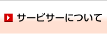 サービサーについて